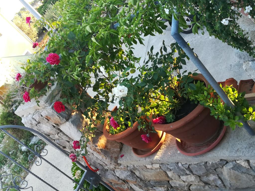 Apartment Neno - Terrace & Parking Veli Lošinj Exterior foto