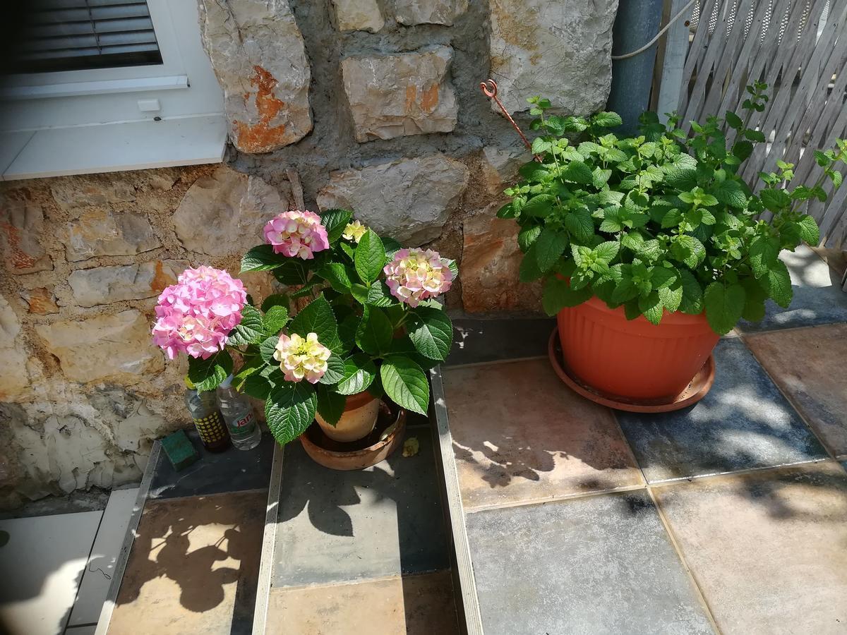 Apartment Neno - Terrace & Parking Veli Lošinj Exterior foto