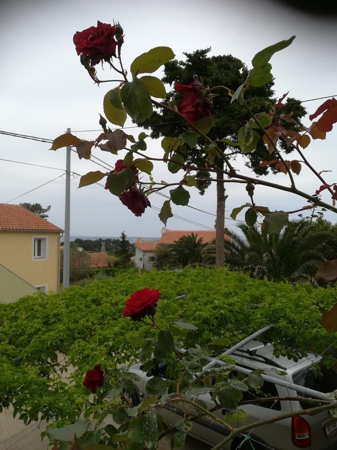 Apartment Neno - Terrace & Parking Veli Lošinj Exterior foto